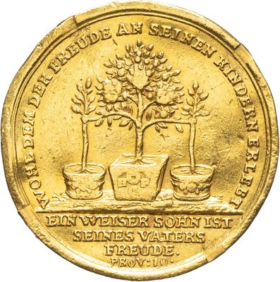 une image représentant une pièce d'or sur laquelle figurent un arbre et des plantes en pot
