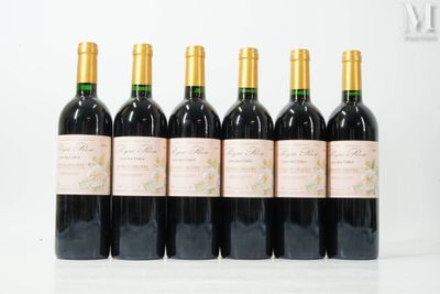 six bouteilles de vin sont alignées sur une table