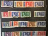 une photo d'une vitrine remplie de timbres