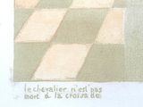 a picture of a cat sitting on a checkered tile floor