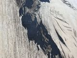 a picture of a painting of a bird on the wall