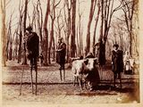 un groupe de personnes debout dans les bois avec une vache