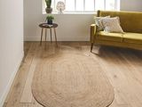 un salon avec un canapé et un tapis au sol