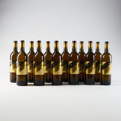 six bouteilles de bière alignées sur une surface blanche