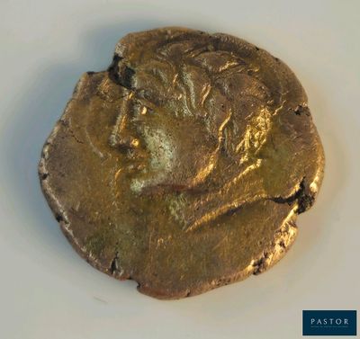 l'image d'une pièce d'or sur laquelle figure le visage d'un homme