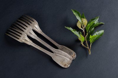 two forks and a leaf on a black surface