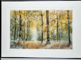 a watercolor painting of trees in a forest