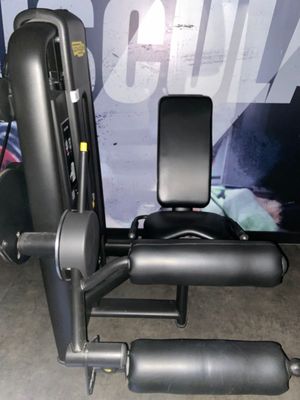 VENDU SUR DESIGNATION - LEG Curl TECHNOGYM SE TROUVANT DANS …