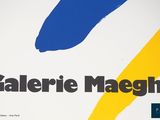 the cover of a book with a blue and yellow design