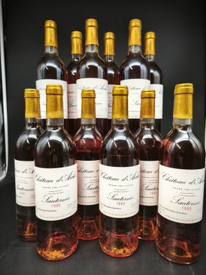 12 Bts CHATEAU D'ARCHE(cla) 2 GCC Sauternes 1990