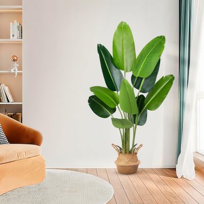 un salon avec un canapé et une plante dans un coin