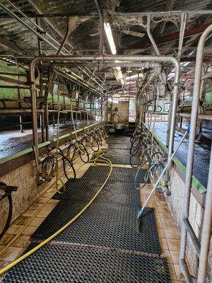de nombreux vélos alignés à l'intérieur d'une grange