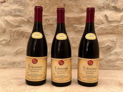 3 B Echezeaux grand cru. Domaine Michel Noellat. - Photo 1