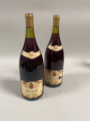 deux bouteilles de vin posées l'une à côté de l'autre sur une table