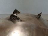 two birds that are sitting on top of a metal bowl
