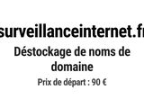 Photo 1/1 du lot