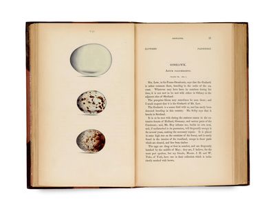 un livre ouvert sur lequel figure une illustration représentant des œufs et des coquilles d'œufs