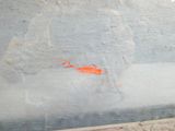 an orange substance on the ground next to a wall