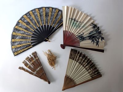 de nombreux types d'éventails différents posés sur une table blanche