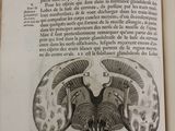 an open book with a drawing of a goat ' s head on it