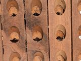 many holes in the wood of a wine rack