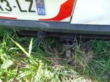 a close up of a car ' s rear end with the license plate on it