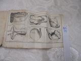un vieux livre orné de dessins, posé sur une table