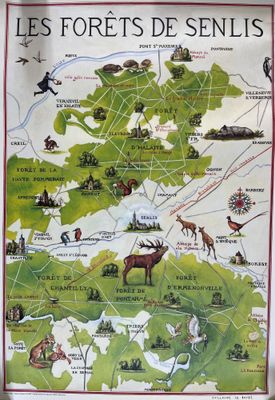 carte de la forêt de Dessinis, en France