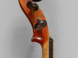 a close up of a violin with a wooden back and neck