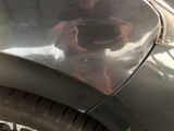 a close up of a car ' s hood with a dog on it