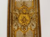 the cover of the book sculpture pour louis xv by jacques meuniot