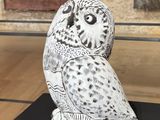 a white owl sitting on top of a black table