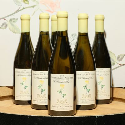 six bottles of wine are lined up on a wooden barrel