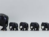a group of elephants that are standing in a line