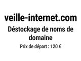 Photo 1/1 du lot