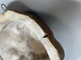 Photo 11/12 du lot