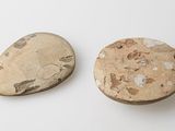 two pieces of rock sitting next to each other on a white surface