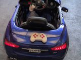 a dog sitting in a toy car with a remote control