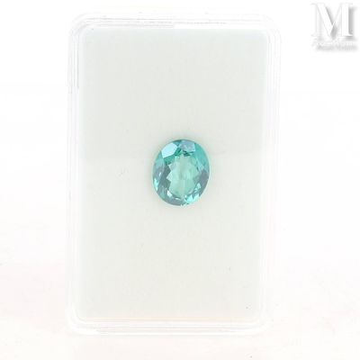 a close up of a blue topaz gems on a white surface