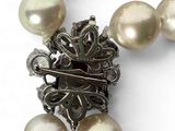pearl necklace with a silver clasp on a white background