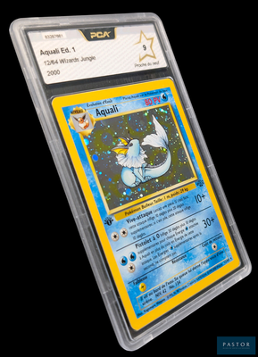 La carte Pokémon se trouve dans un étui en plastique transparent sur fond noir.