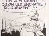 Photo 5/13 du lot