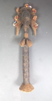 une tête d'éléphant accrochée au mur d'une pièce