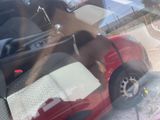 a dog that is sitting in the back seat of a car