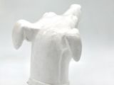 a white ceramic animal head on a white table