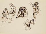 dessin représentant un groupe de singes assis sur des tabourets dans différentes poses