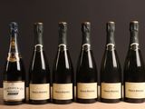 six bouteilles de vin sont alignées sur une table