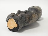 a piece of wood that has been burnt off
