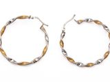 une paire de boucles d'oreilles créoles sur fond blanc