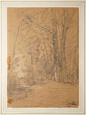RAVIER François Auguste, 1814-1895, Arbres, Dessin au crayon… - Photo 1